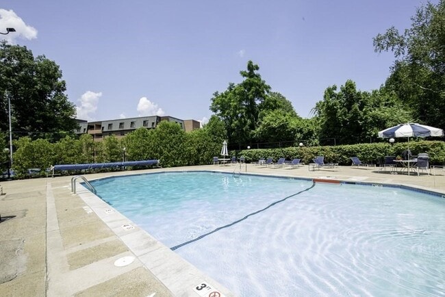 Building Photo - 404 Paradise Rd