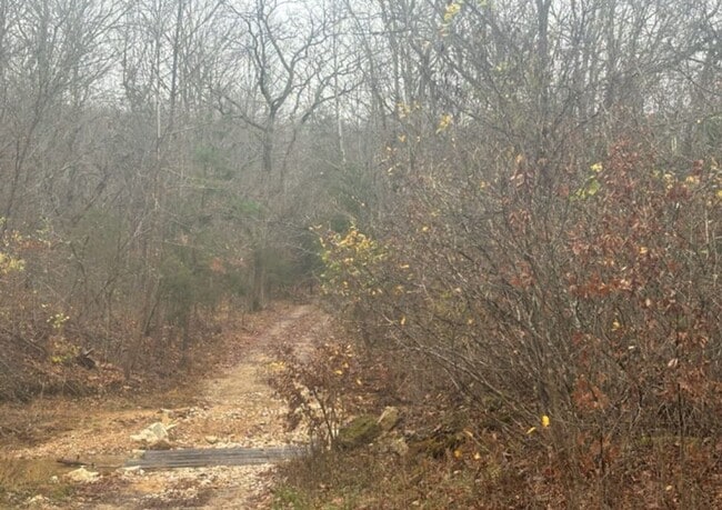 Building Photo - 13.2-Acres With Cabin! - $ 690 Month / $900 Down