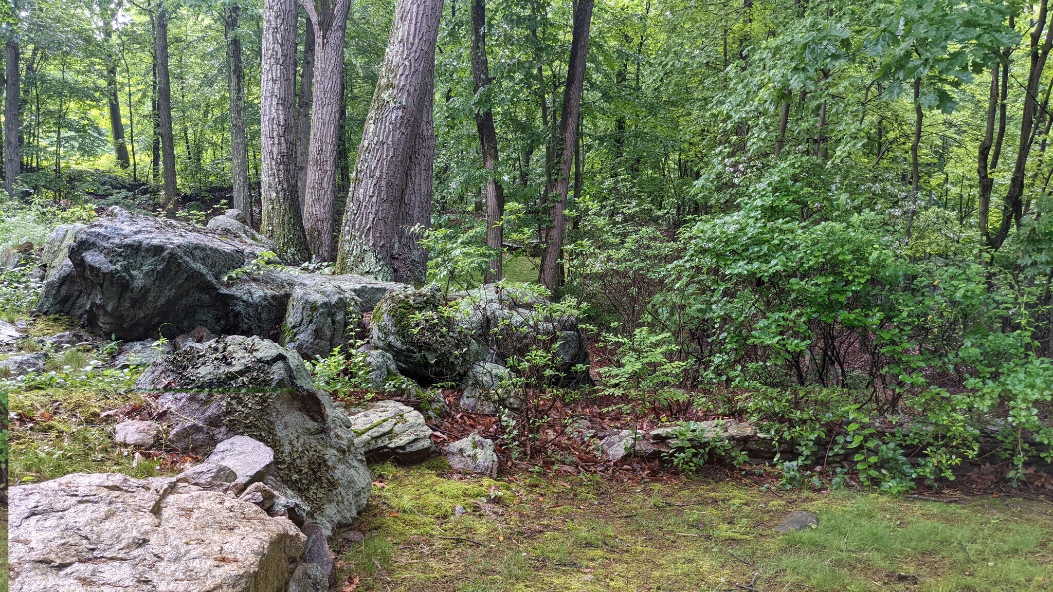 Building Photo - 9 Mountain Laurel Ln