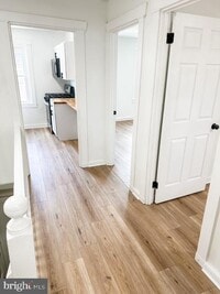 Building Photo - 343 S Prince St