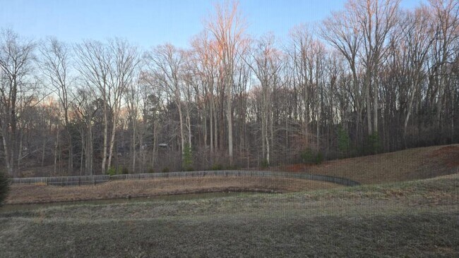 Building Photo - 6002 Bedstone Dr