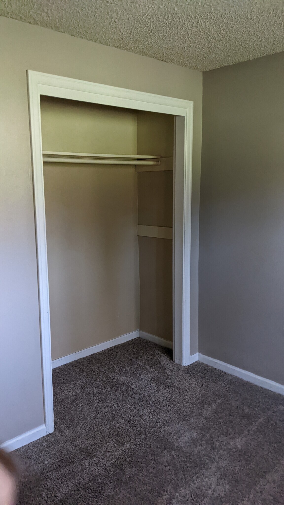 Building Photo - 1812 Tiffany St