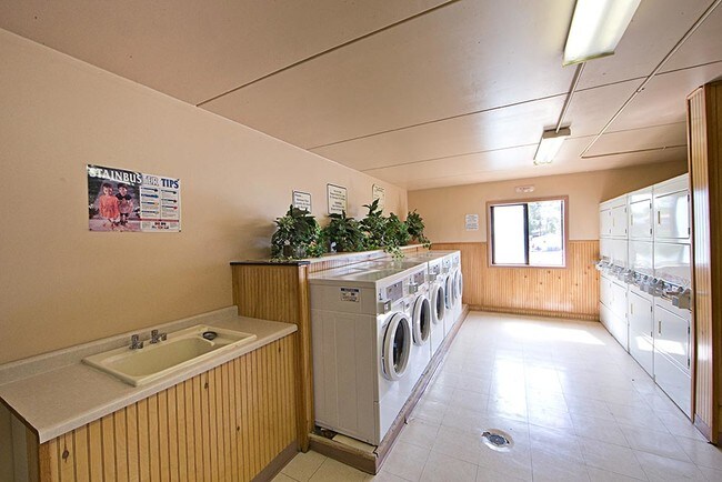 Building Photo - Country Club View Apartments