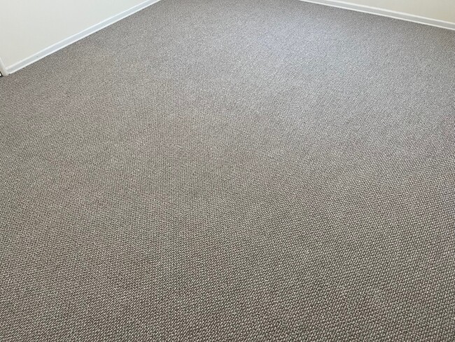 NEW Wall to Wall Carpet - 3181 S Barrington Ave
