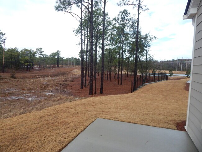 Building Photo - Beautiful home in Del Webb by Riverlights (55 and over community)