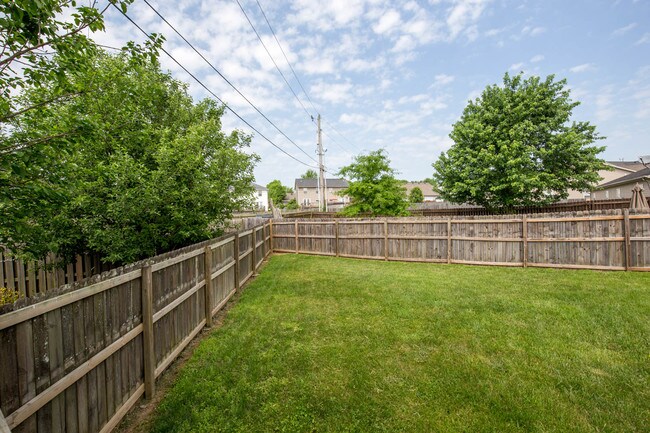 Building Photo - 300 Elkchester Cir