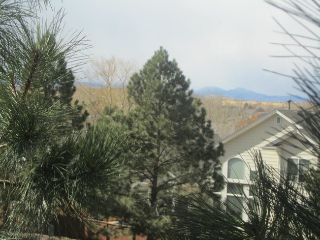 Views - 10753 Jordan Ct