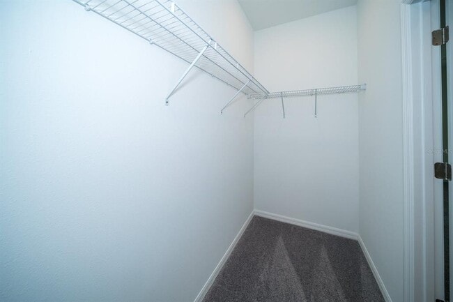 Building Photo - 32134 Powderpuff Mimosa Dr