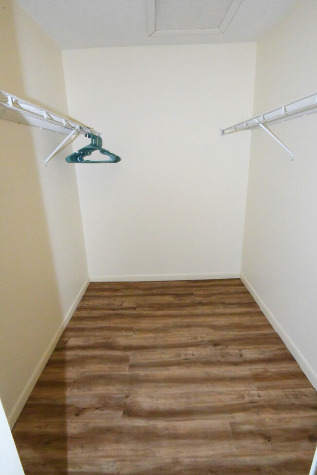 Large walk-in closet in master bedroom suite. - 1935 Silver Pine SW Way