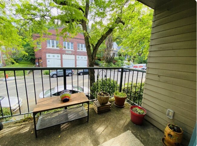 patio view - 1439 SW Montgomery St