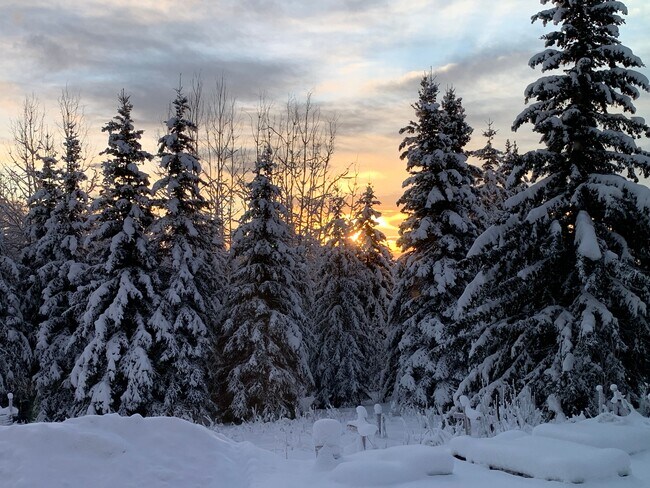 View in winter from livingroom and bedroom - 2279 Franklin St