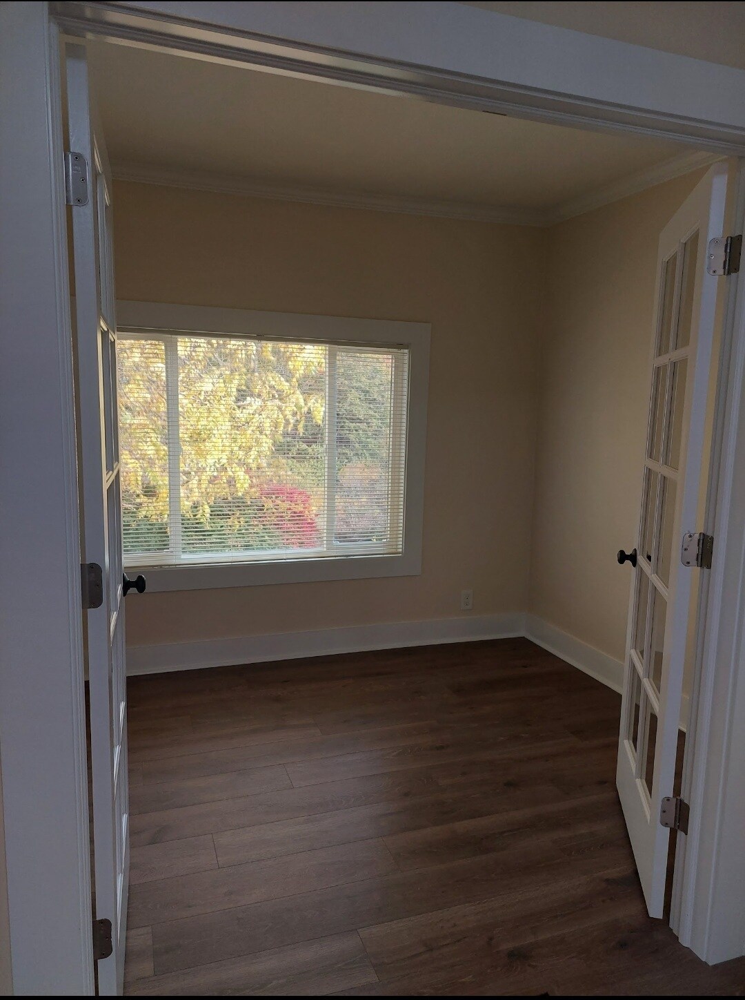 Building Photo - 20 Plante St