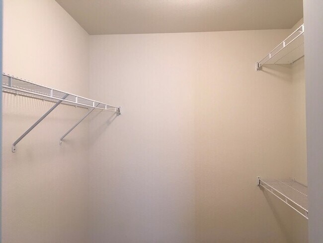 Building Photo - Beautiful 4 Bedroom Two-Story Home in Windsor!