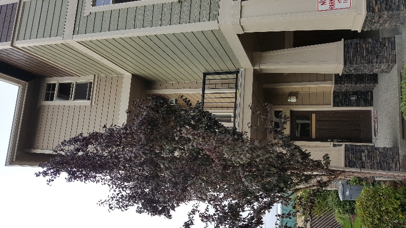 Building Photo - 3800 NE 3rd Pl