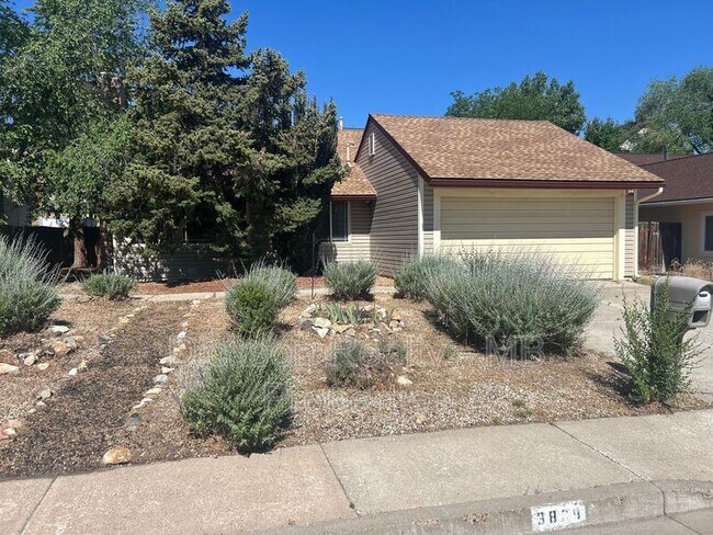 Primary Photo - 3809 Bexley Square