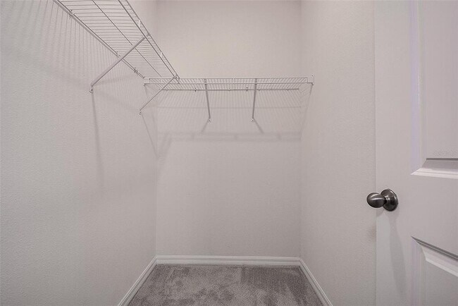 Building Photo - 3624 Autumn Amber Dr