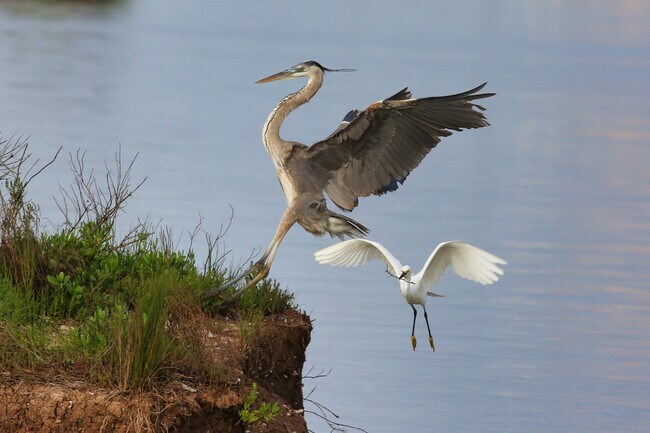 Building Photo - 1288 County Rd 297