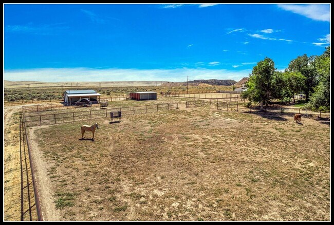 Building Photo - 3 Acre Horse Ranch & Home Rental SE Boise ...