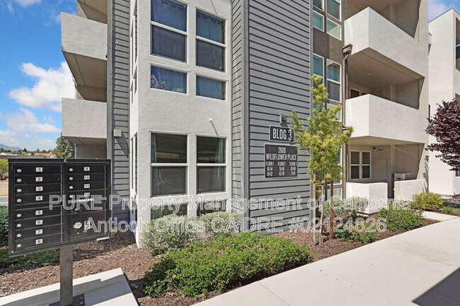 Building Photo - 2600 Wildflower Sta Pl