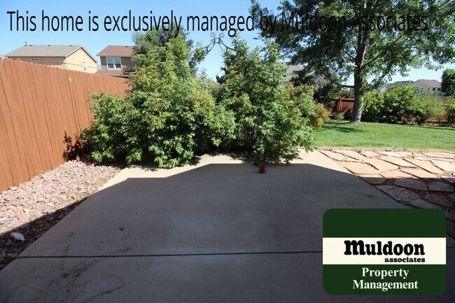 Building Photo - Coming soon! Gorgeous ranch style home in Soaring Eagles