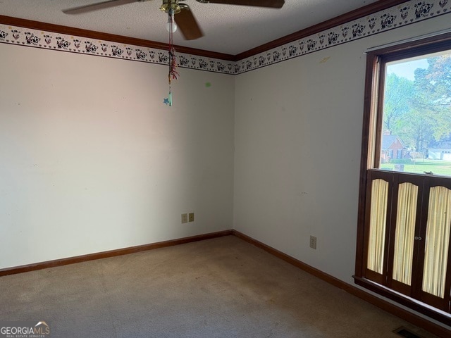 Building Photo - 206 Ridge Cir