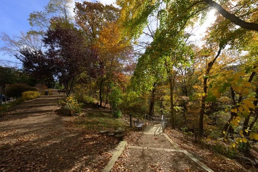 Wooded Trails on 35 Acre Campus - 5903 Mount Eagle Dr