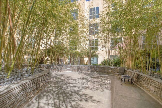 Building Photo - Great natural light in a large condo near ...