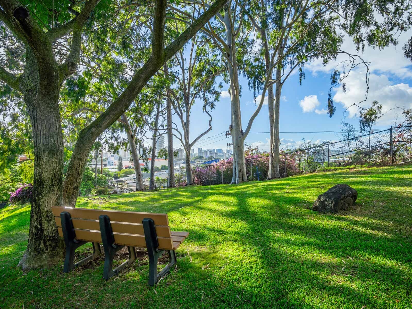 Building Photo - 3138 Waialae Ave