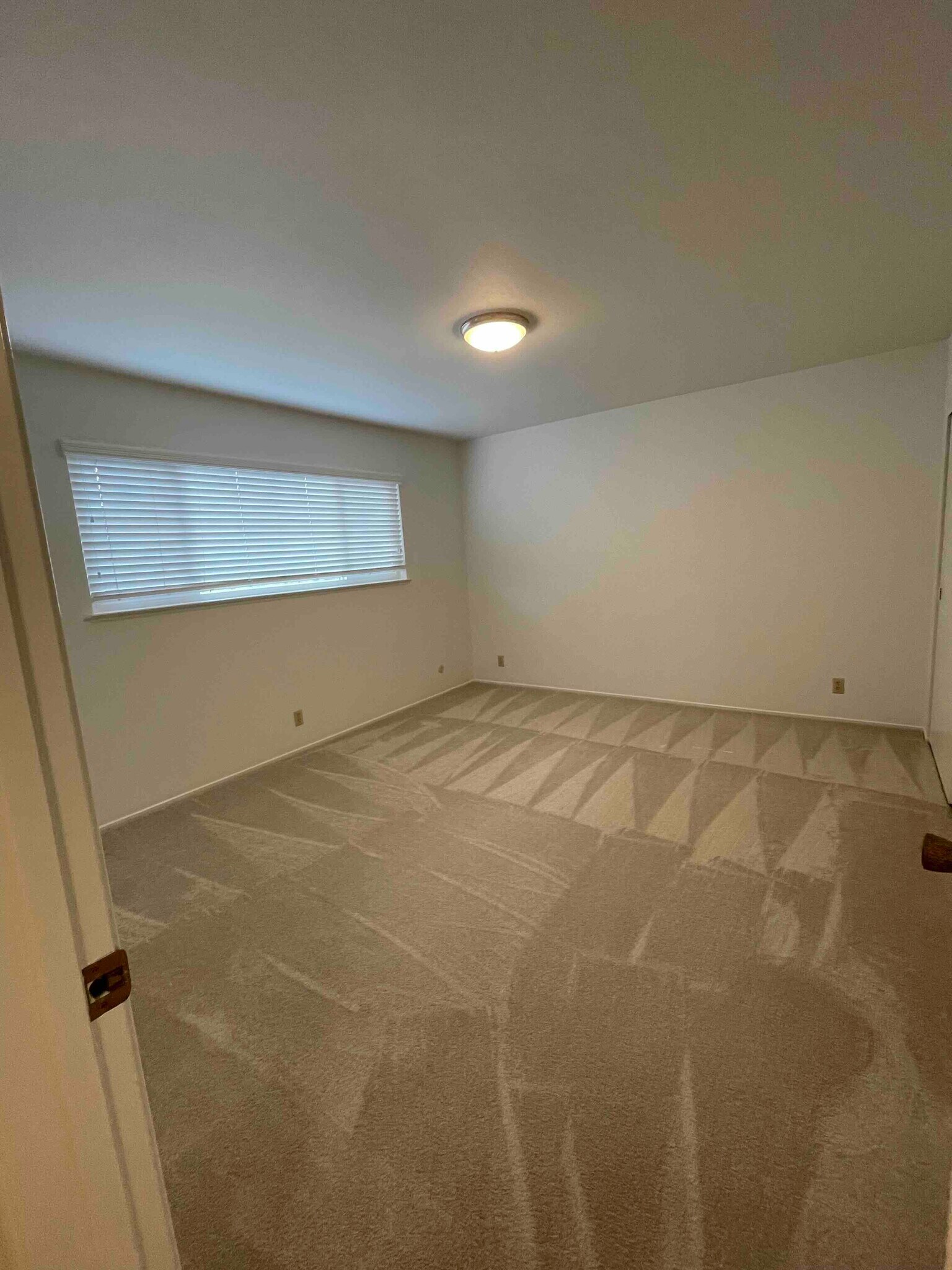 Master bedroom. New carpet. - 3724 Edgefield Drive