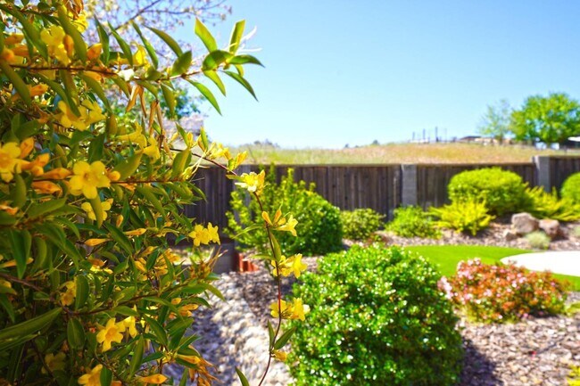 Building Photo - 1074 Vineyard Dr