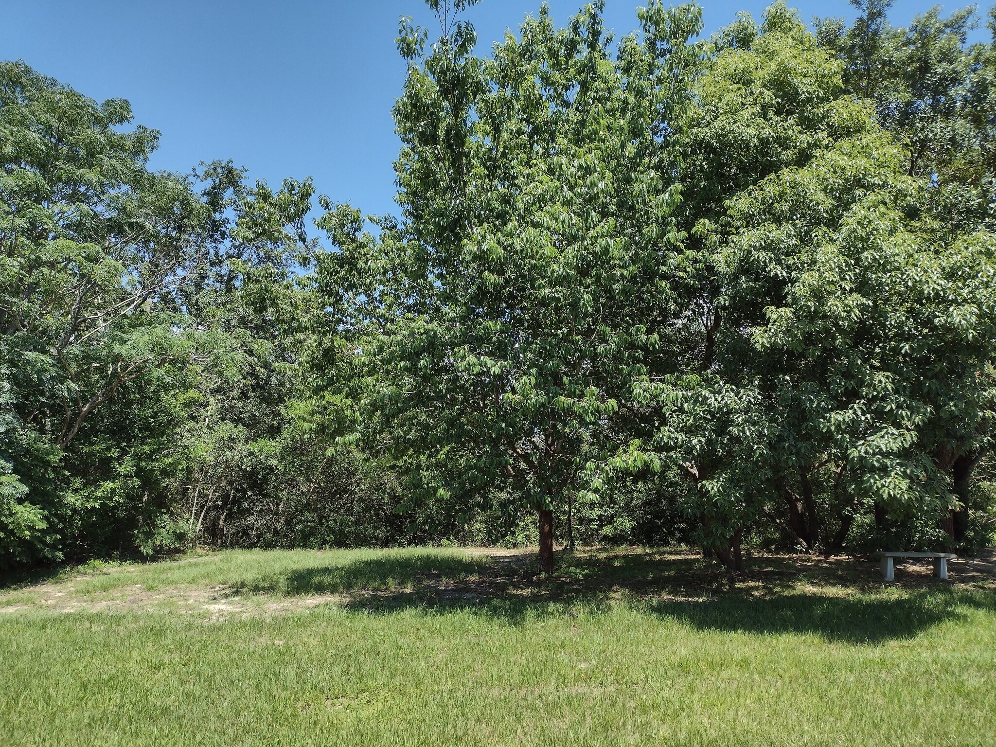 Back yard 2 - 7396 Pond Cir