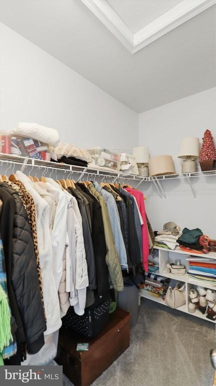 Building Photo - 110 Edelweiss Wy