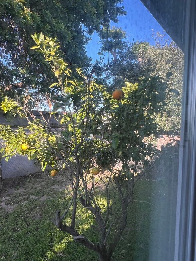 Building Photo - Private Back House with single garage & yard