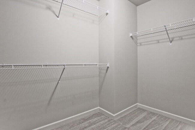 Building Photo - 4165 Shoals Ln