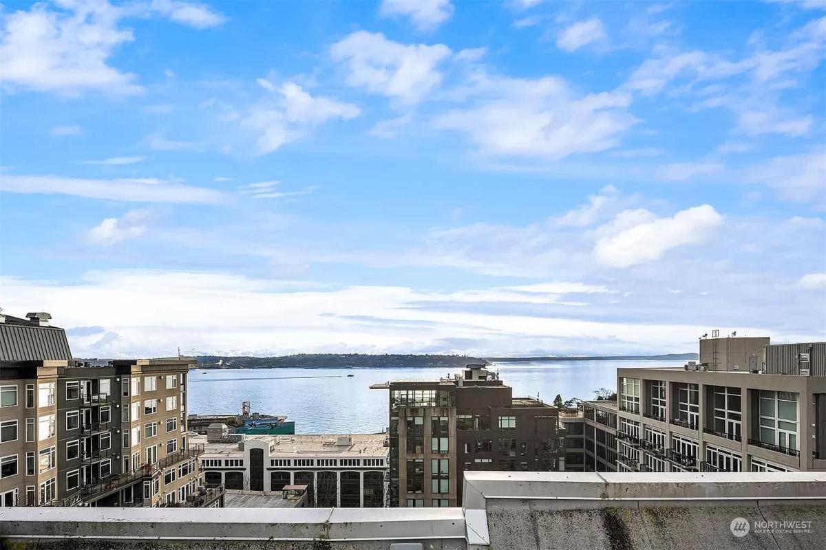 Rooftop Patio / Grilling View - 81 Clay St