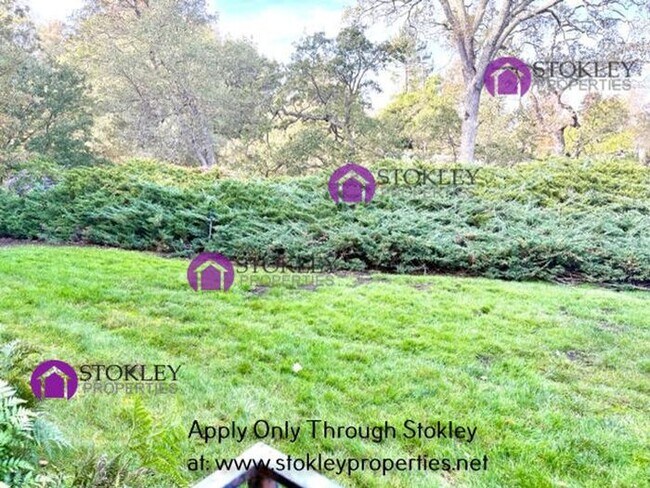 Building Photo - 3125 Terra Granada Dr