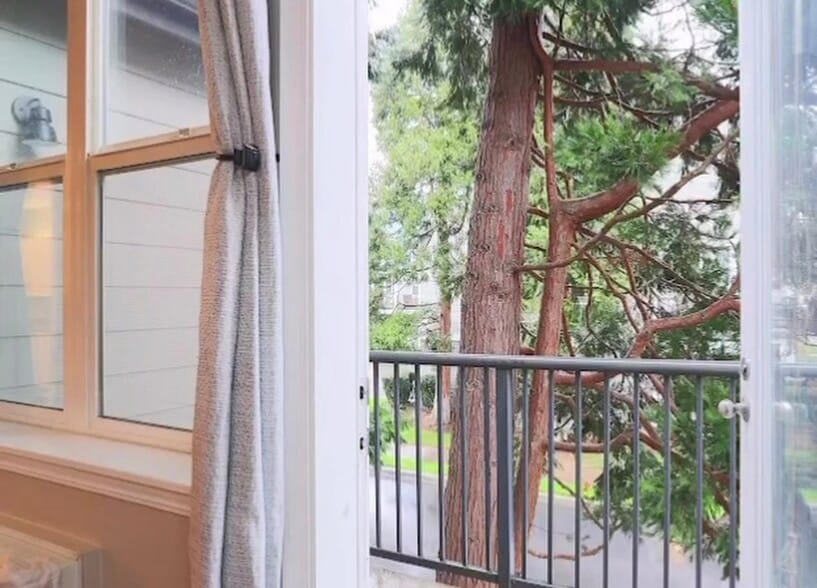 large shade privacy trees - 1730 SE Halyard Ln