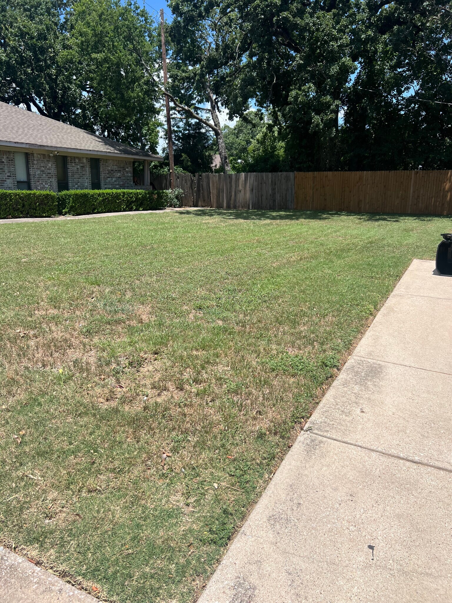 Common Grass area - 1401 Lackey Ct