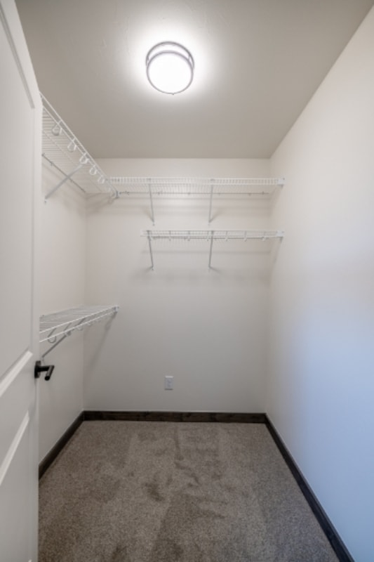 Building Photo - 3396 Crosswind Ct