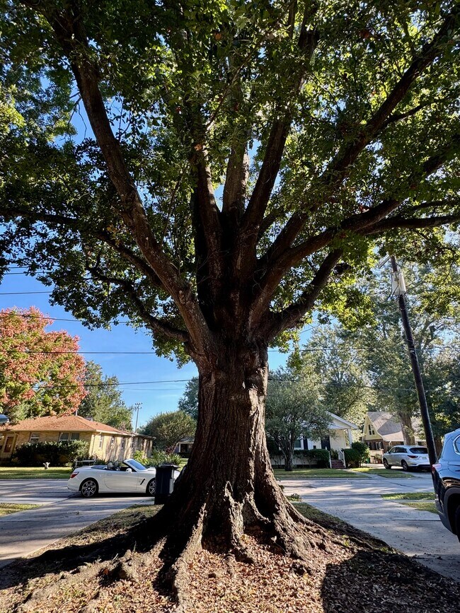 Building Photo - 134 Hwy Dr