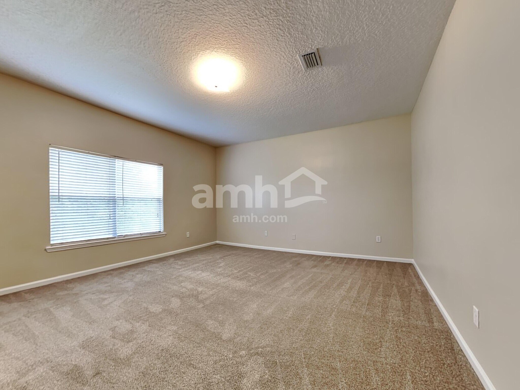 Building Photo - 9146 Prosperity Lake Dr