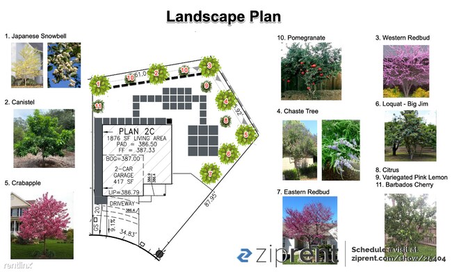 Building Photo - 3 br, 2.5 bath House - 4417 Neptune Cir, F...