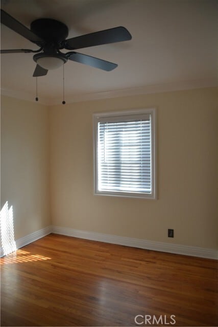 Building Photo - 1515 S Orange Ave