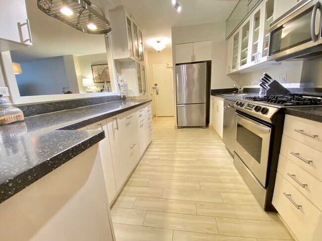 Kitchen to rooftop or secondary entryway - 1000 N Lake Shore Dr