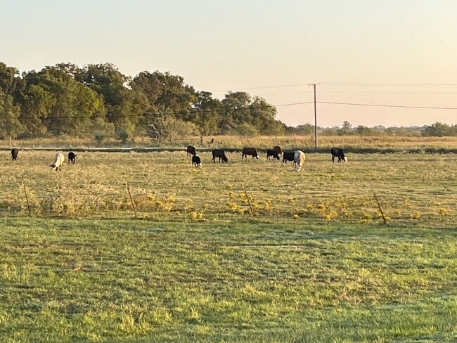 Primary Photo - 5260 SW County Rd