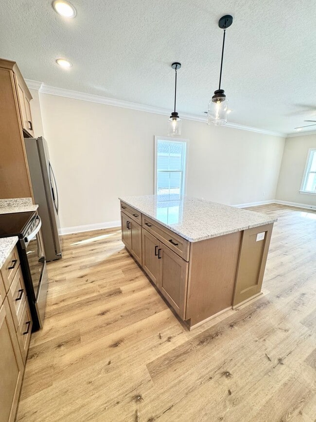 Building Photo - BEAUTIFUL BRAND NEW home!!! ??? 3 Bedrooms, 2.5 Baths with garage