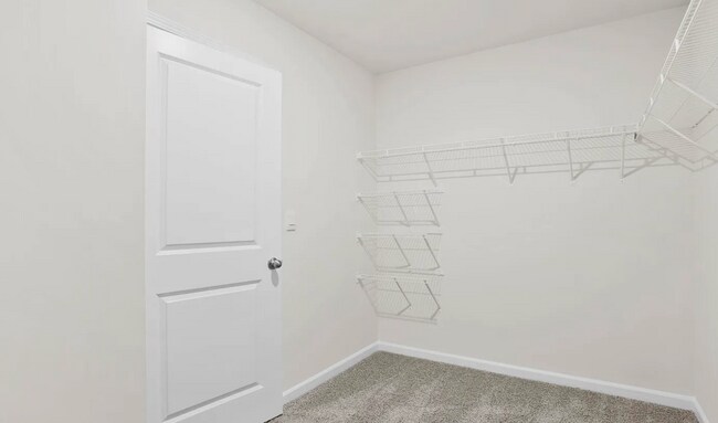 Building Photo - Brand New Spacious Home Move In Ready Now!