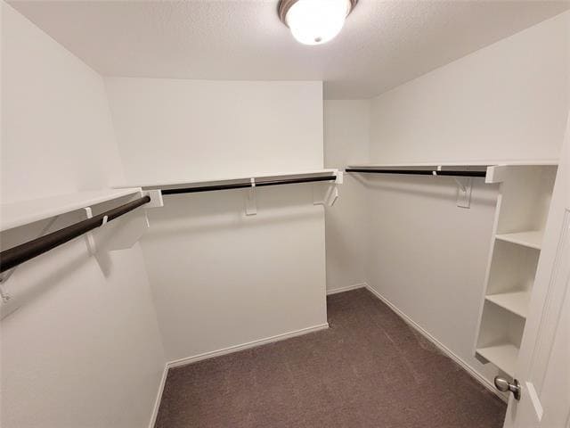 Building Photo - 812 Forestdale Ct