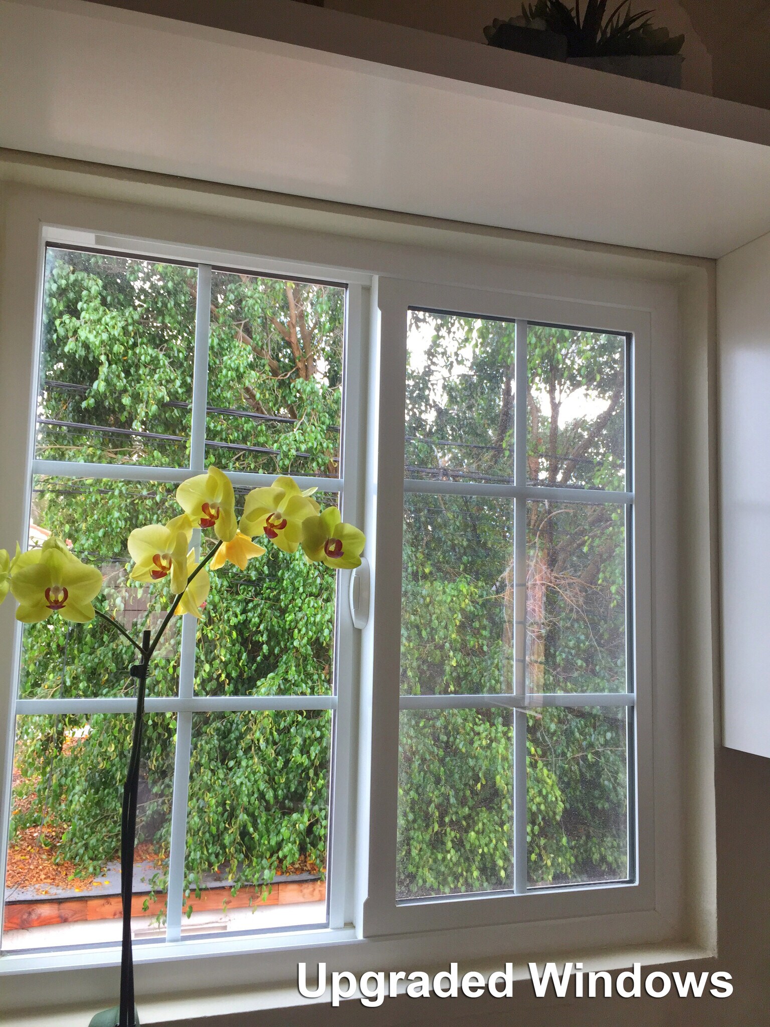 Newer Windows - 2026 -2028 Clyde Ave