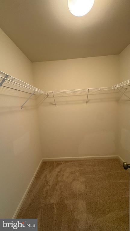 Building Photo - 4165 Tiber Falls Dr